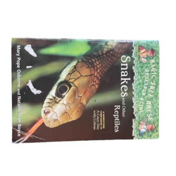 Magic Tree House Series Books Lot, Set of 10, Softcover - Picture 6 of 6